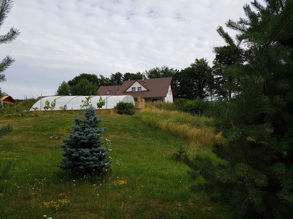 RD před dokončením na obrovském pozemku 10.840m2 - Skalice u České Lípy - Fotka 19