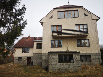 Vila pro bydlení i komerční účely - Nečín - Fotka 27