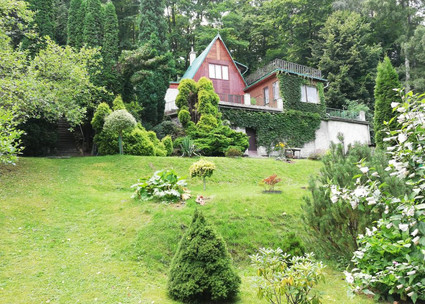 Chata s pozemkem 2707m2 - Bělá pod Bezdězem - Fotka 11