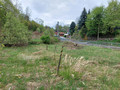 Fotka 10