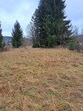 Fotka 29