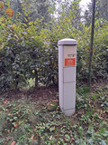 Fotka 19